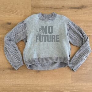 Hysteric Glamour No Future Knit Sweater One Size Gray